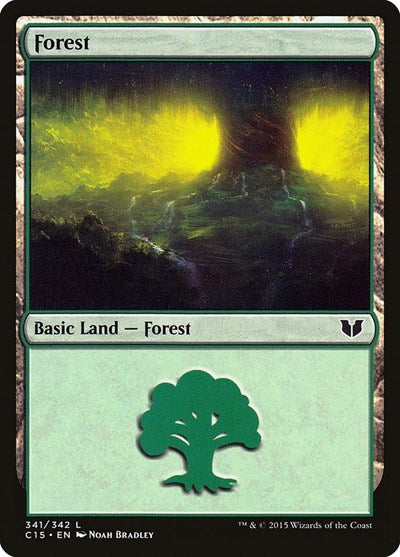 Forest (341)