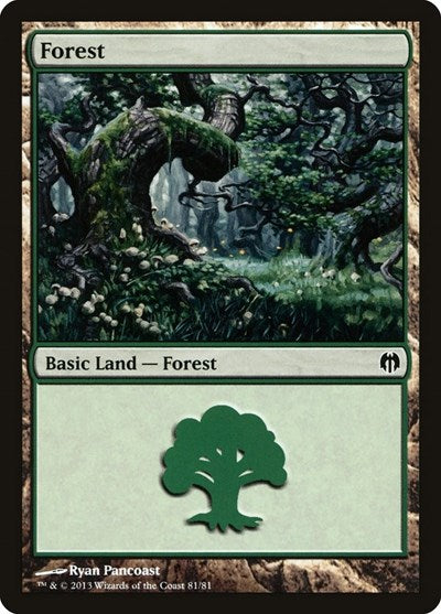 Forest (81)