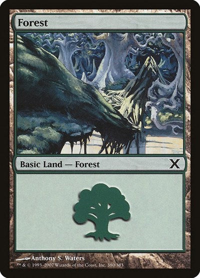 Forest (380)