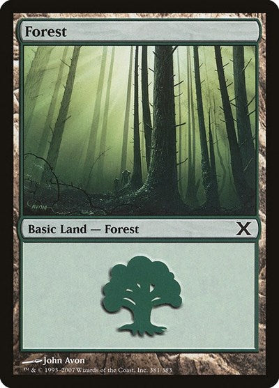 Forest (381)