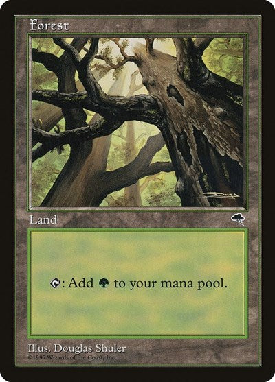 Forest (Skyward)