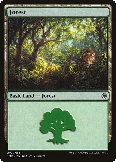 Forest (074)