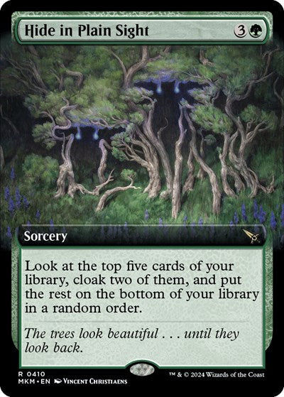 Hide in Plain Sight (Extended Art)