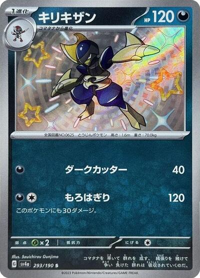 Bisharp - 293/190