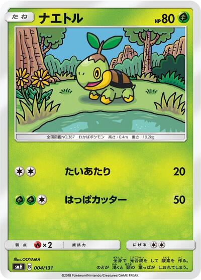 Turtwig