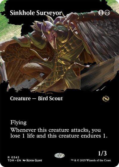 Sinkhole Surveyor (Borderless)