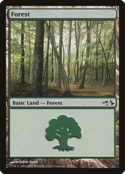 Forest (29)