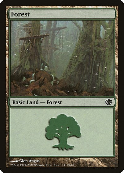 Forest (29)