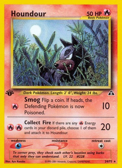 Houndour (24)