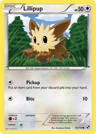 Lillipup (80)