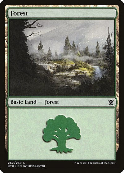 Forest (267)